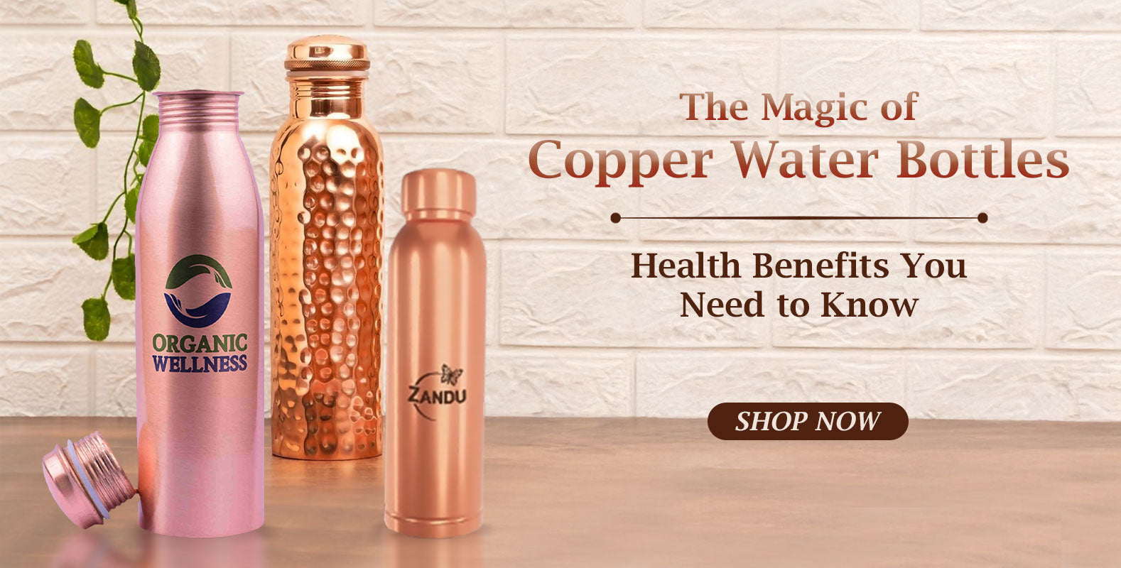 Copper Water Bottle Online