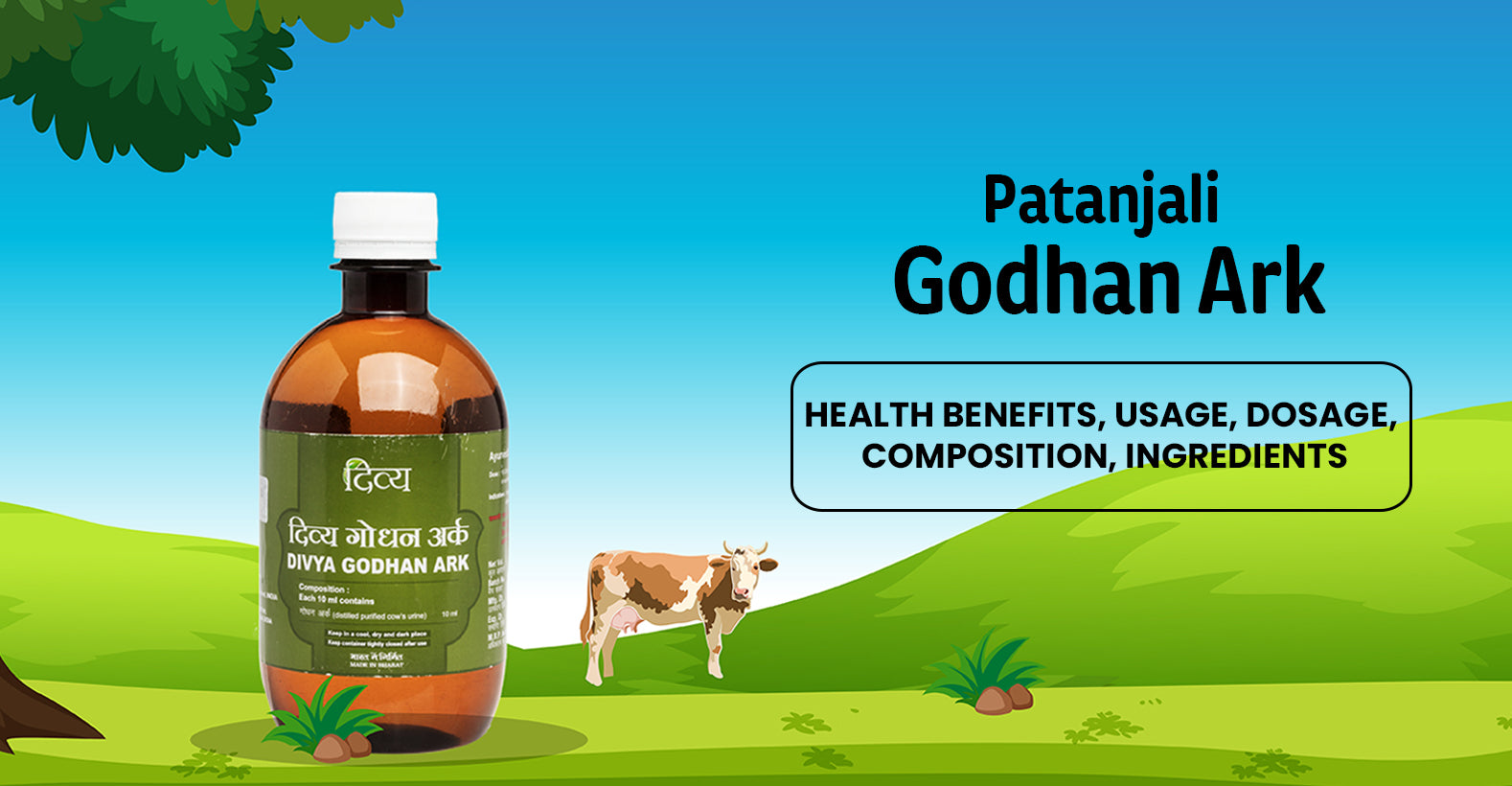 Patanjali Godhan Ark