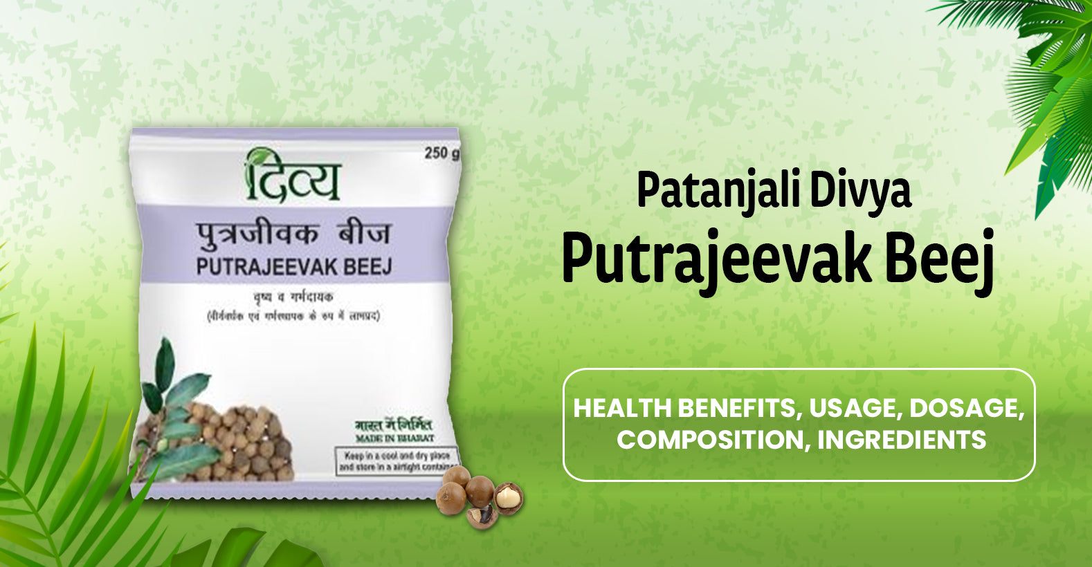 Patanjali Divya Putrajeevak Beej- Ingredients, Composition, Health Benefits, Usage, Tips