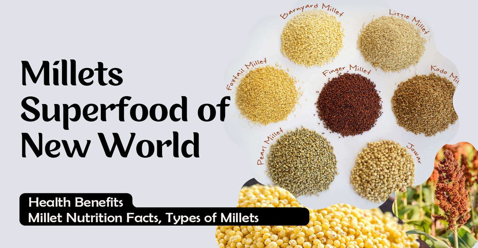 millets and types of millets