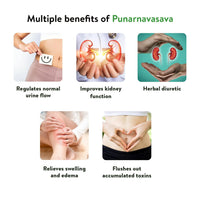 Thumbnail for Kerala Ayurveda Punarnavasavam - Distacart