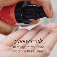 Thumbnail for Aveda Nutriplenish Multi-Use Hair Oil For Dry & Frizzy Hair with Rosemary Extract - Distacart
