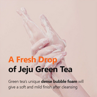 Thumbnail for Isntree Green Tea Fresh Cleanser