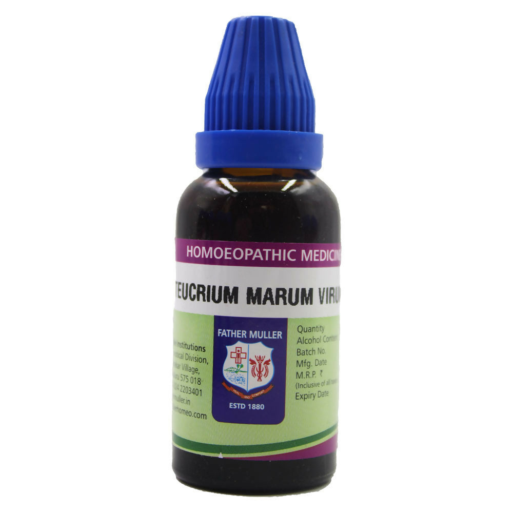 Father Muller Teucrium Marum Virum Mother Tincture Q - Distacart