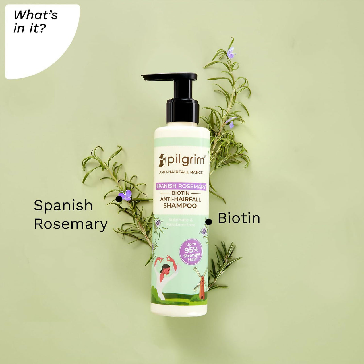 Pilgrim Spanish Rosemary & Biotin Anti Hairfall Shampoo For Reducing Hair Loss & Breakage - Distacart