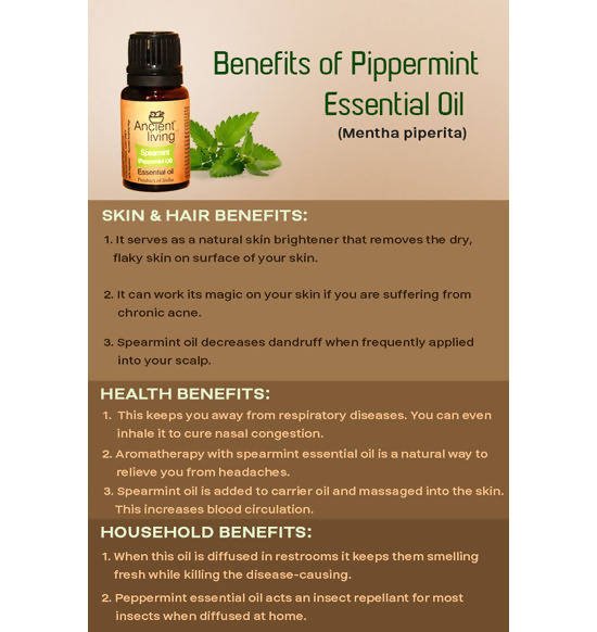 Ancient Living Spearmint (Peppermint Oil) Essential Oil - Distacart