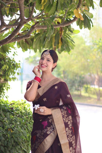 Thumbnail for Aastha Fashion Coffee Thread Woven Cotton Silk Saree with Blouse - Distacart