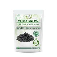 Thumbnail for Yuvagrow Sindhi Black Raisins - Distacart