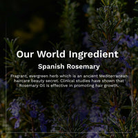 Thumbnail for Pilgrim Spanish Rosemary & Biotin Hair Growth Oil To Control Hair Fall & Strengthens Hair - Distacart