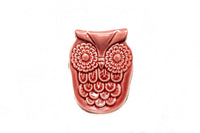 Thumbnail for Collectibles India Quirky Owl Trinket Tray - Distacart
