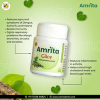 Thumbnail for Amrita Giloy Tablets - Distacart