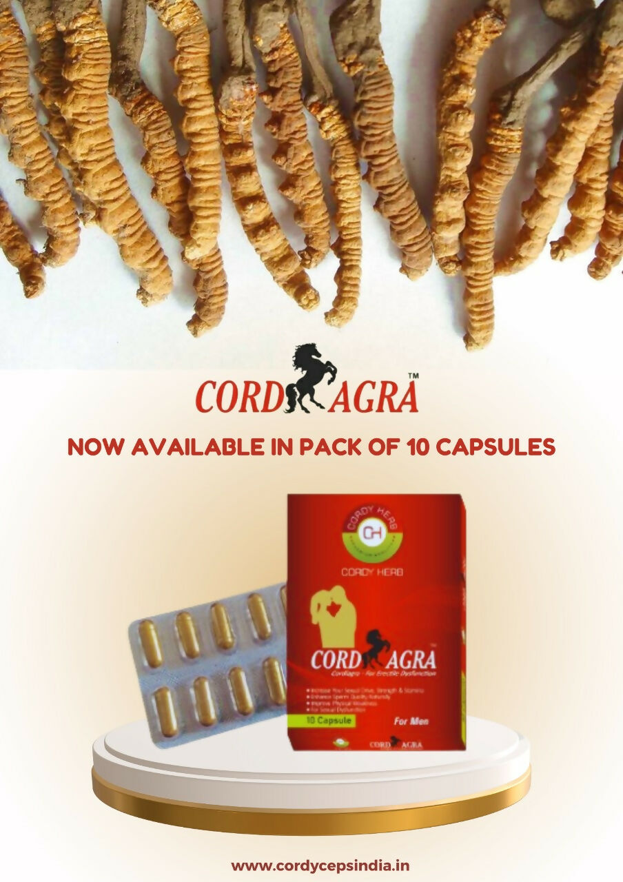 Cordy Herb Cordiagra Stamina & Energy Booster Capsules