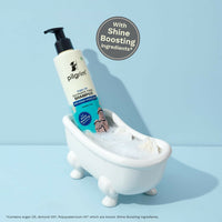 Thumbnail for Pilgrim Sulphate Free Shampoo For Dry Frizzy Hair With Korean White Lotus - Distacart