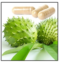 Thumbnail for Alavi Graviola/Soursop Fruit Dry Powder Capsules - Distacart