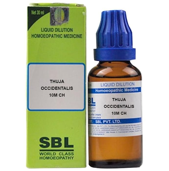 SBL Homeopathy Thuja Occidentalis Dilution - Distacart