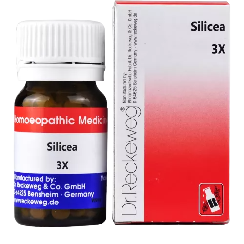 Dr. Reckeweg Silicea Biochemic Tablets - Distacart