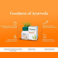 Thumbnail for Himalaya Herbals - Shatavari Women's Wellness