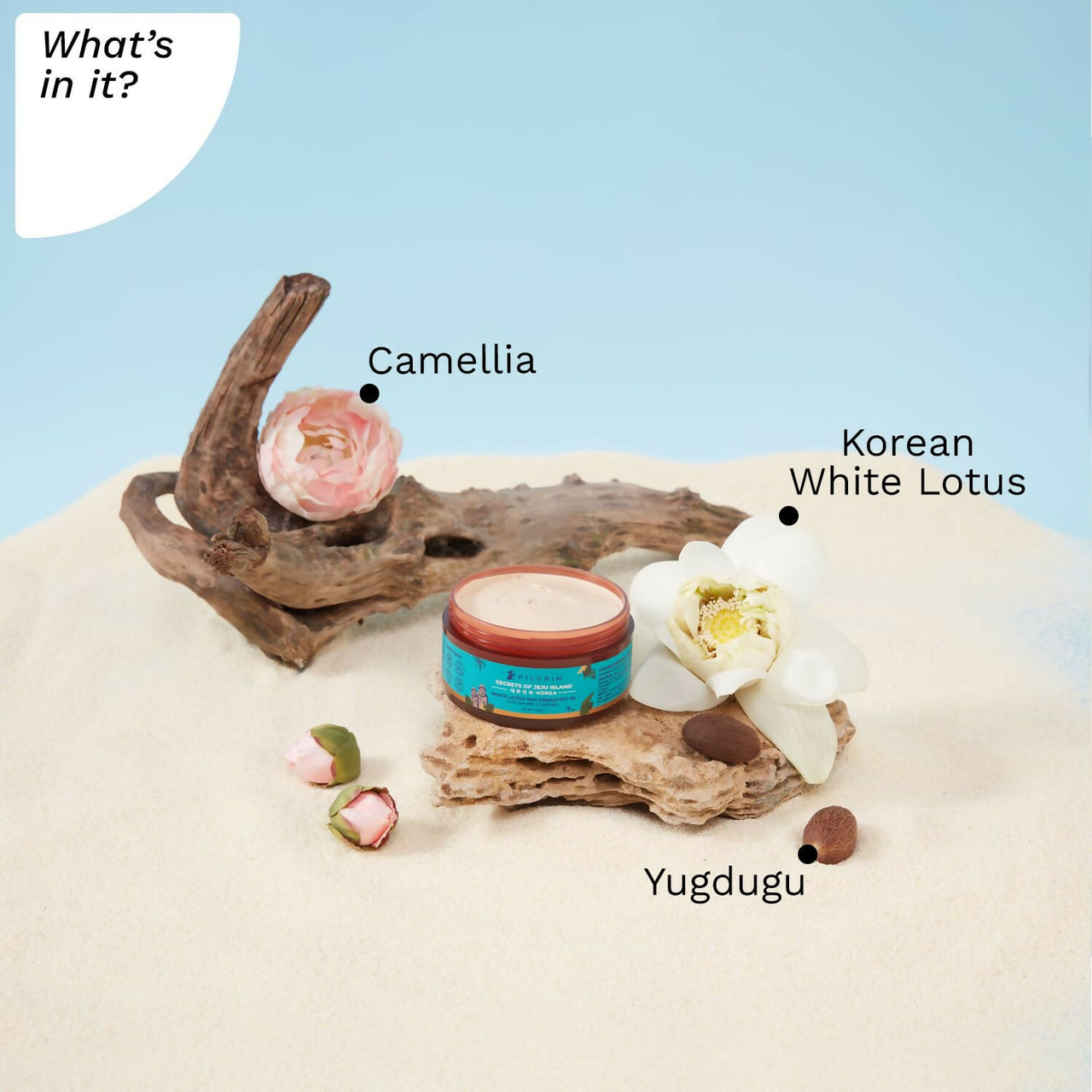 Pilgrim Korean White Lotus Day Cream SPF 50 With Camellia And Yugdugu - Distacart