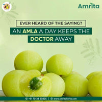 Thumbnail for Amrita Nisa Amalaki Tablets - Distacart