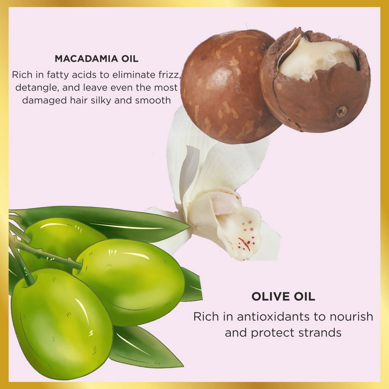 HASK Macadamia Oil Moisturizing Deep Conditioner