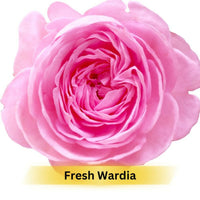 Thumbnail for Prakriti Herbal Soap Fresh Wardia - Distacart