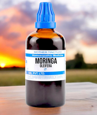 Thumbnail for SBL Homeopathy Moringa Oleifera Mother Tincture Q