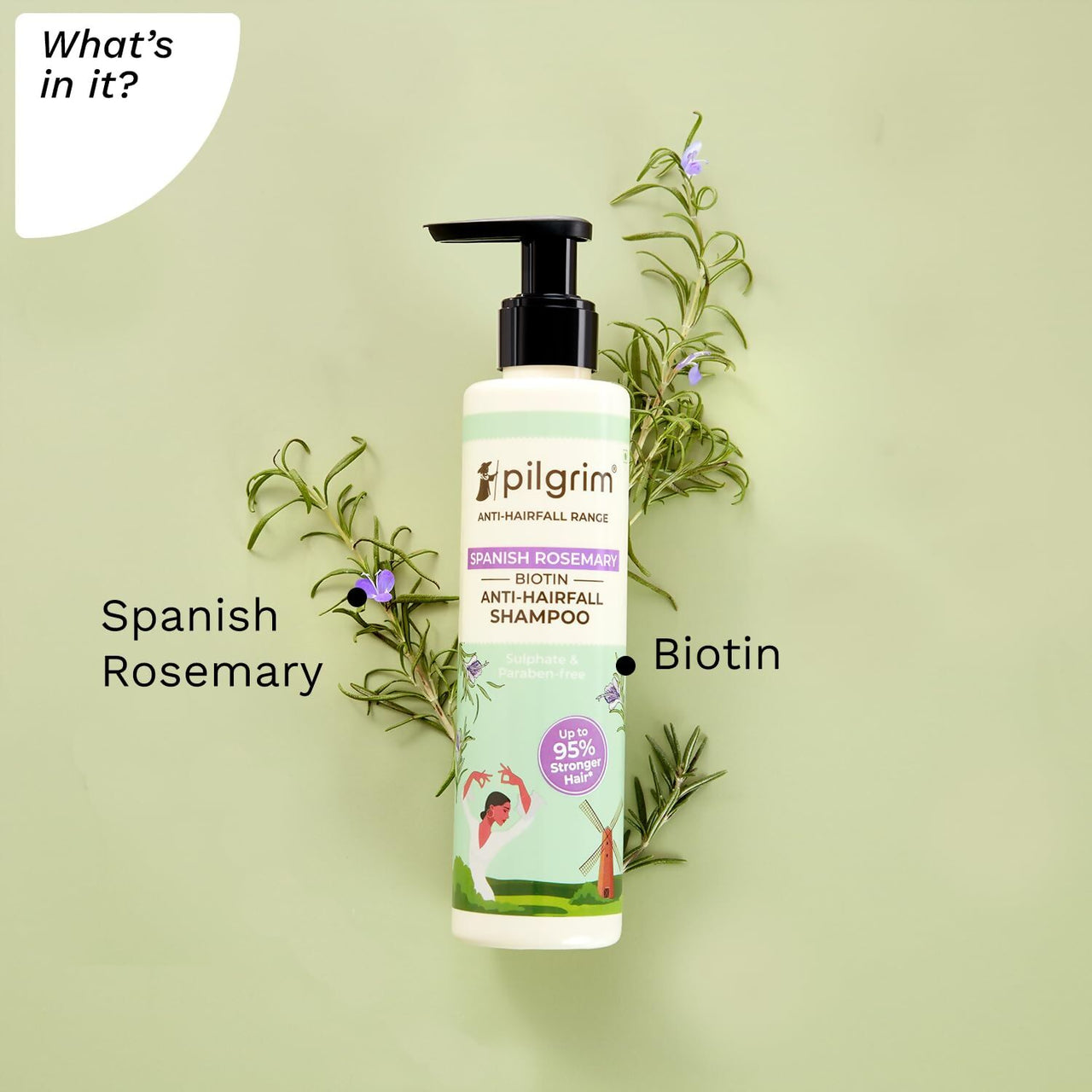 Pilgrim Spanish Rosemary Anti-Hairfall Shampoo (GTM) - Distacart