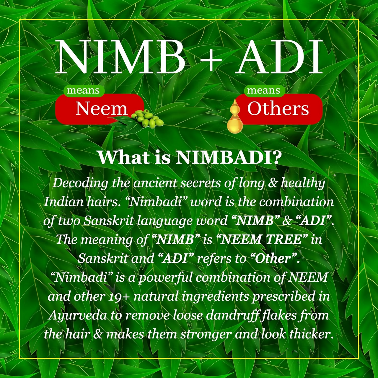 The Indie Earth Nimbadi Hair Oil For Healthy & Dandruff Free Hairs