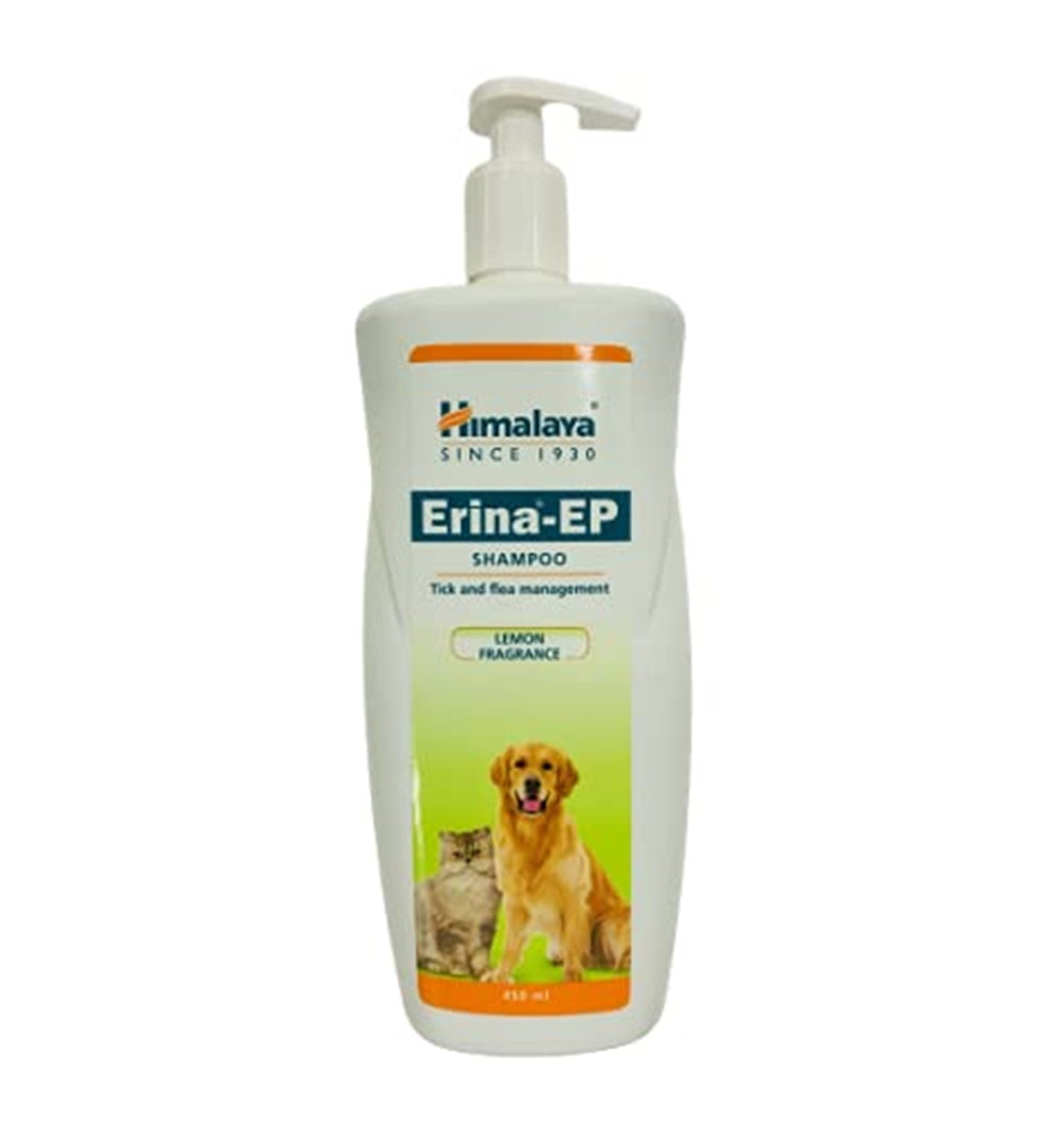 Flea control shop shampoo dogs