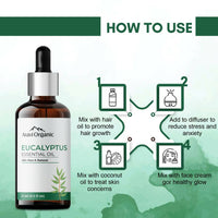 Thumbnail for Aravi Organic Nilgiri Eucalyptus Essential Oil - Distacart