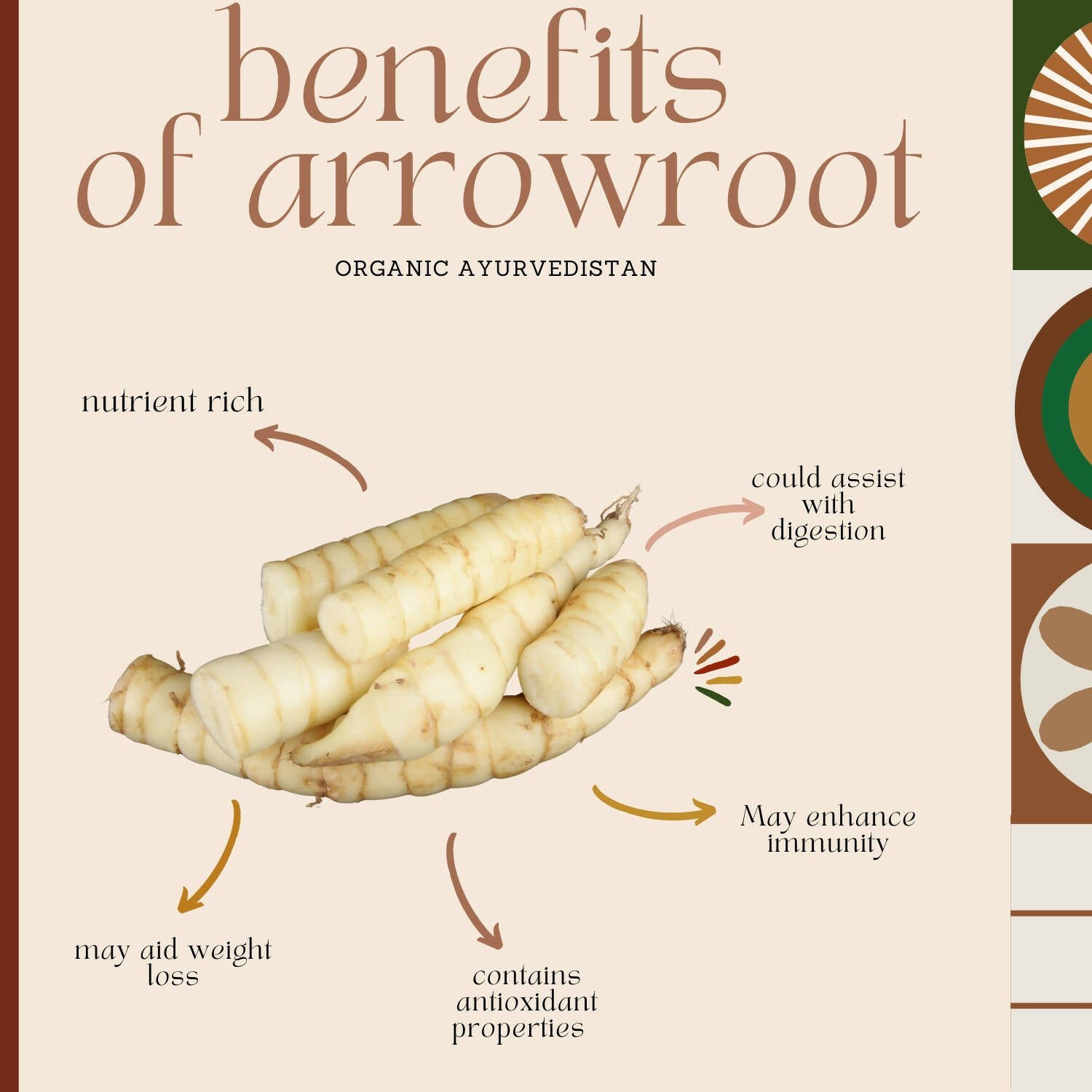 Arrowroot: Nutrition, Benefits, and Uses
