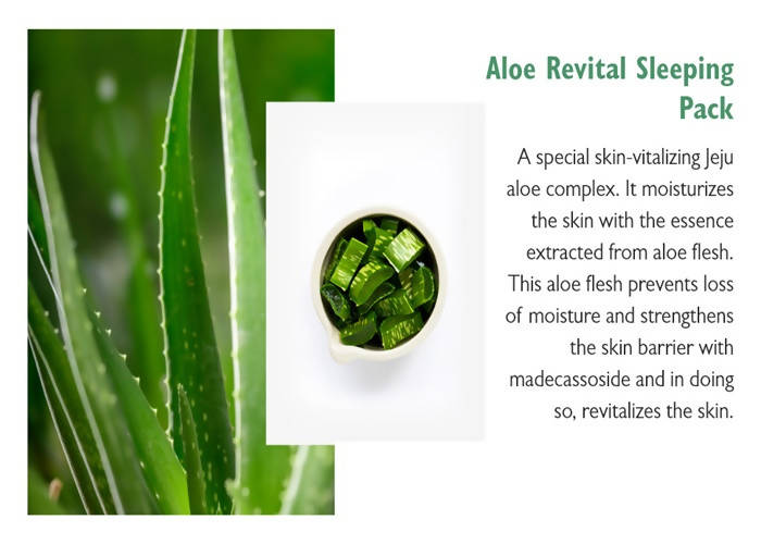 Aloe Revital Sleeping Pack
