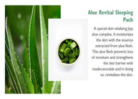 Thumbnail for Aloe Revital Sleeping Pack