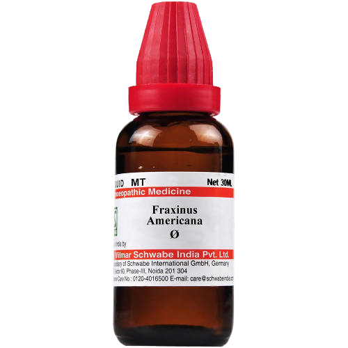 Dr. Willmar Schwabe India Fraxinus Americana Mother Tincture - Distacart