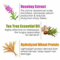 Thumbnail for Wow Skin Science Rosebay Extract & Tea Tree Essential Oil Anti-Dandruff Hair Mask