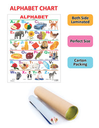 Thumbnail for Dreamland Publications Educational Chart for Kids - Alphabet - Distacart