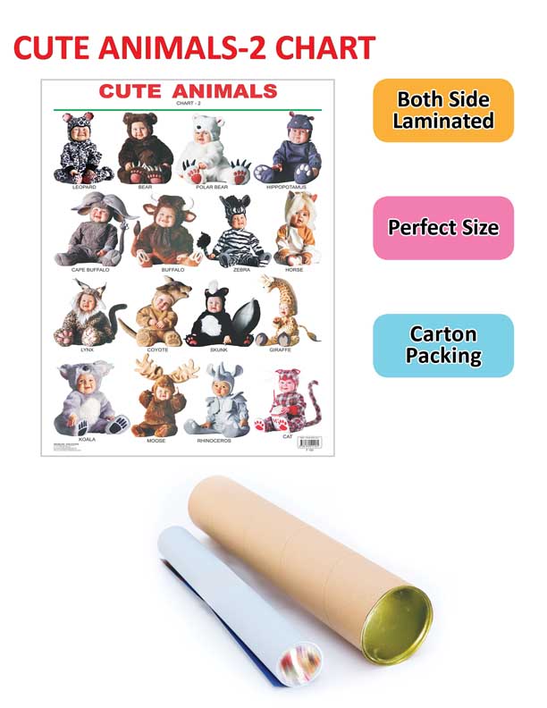 Dreamland Publications Educational Chart for Kids - Cute Animals - 2. - Distacart