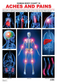 Thumbnail for Dreamland Publications Educational Chart for Kids - The Pains - Distacart