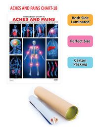 Thumbnail for Dreamland Publications Educational Chart for Kids - The Pains - Distacart