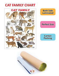 Thumbnail for Dreamland Publications Educational Chart for Kids - Cat Family Chart - Distacart