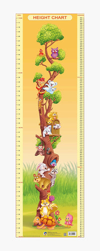 Thumbnail for Dreamland Publications Educational Chart for Kids - Height Chart - 2 - Distacart