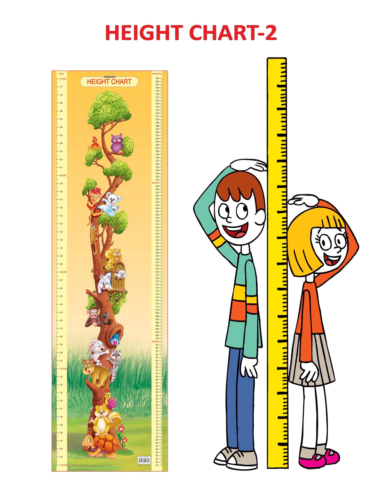 Dreamland Publications Educational Chart for Kids - Height Chart - 2 - Distacart