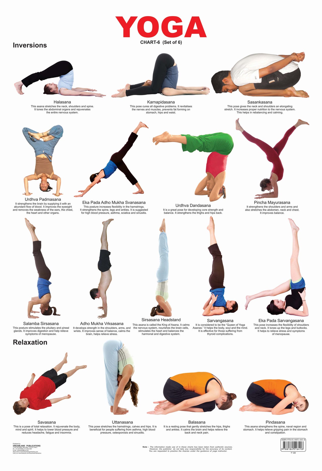 Dreamland Publications Educational Chart for Kids - Yoga Chart - 6 - Distacart