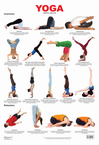 Thumbnail for Dreamland Publications Educational Chart for Kids - Yoga Chart - 6 - Distacart