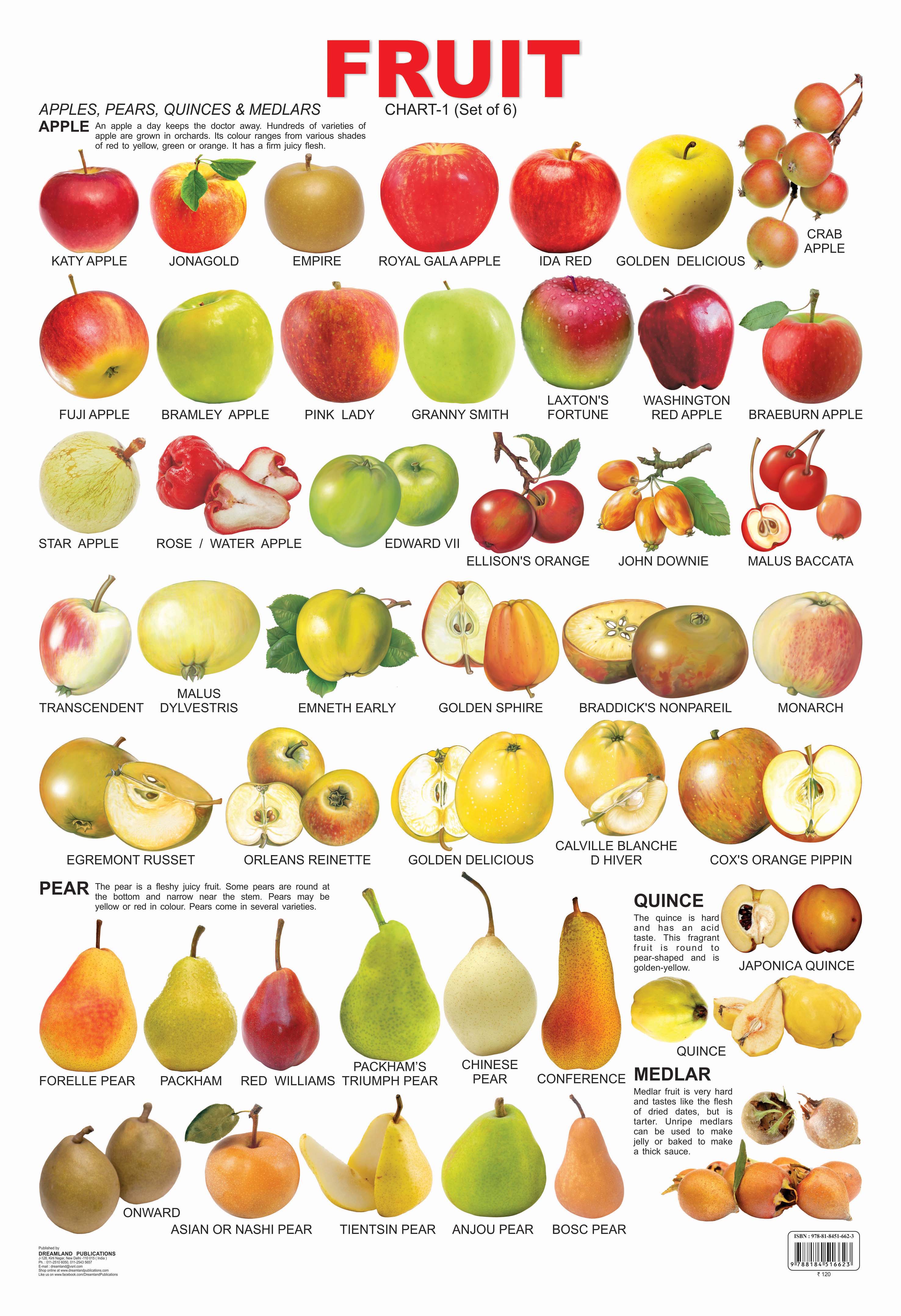 fruits name chart for kids