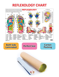 Thumbnail for Dreamland Publications Educational Chart for Kids - Reflexology - Distacart