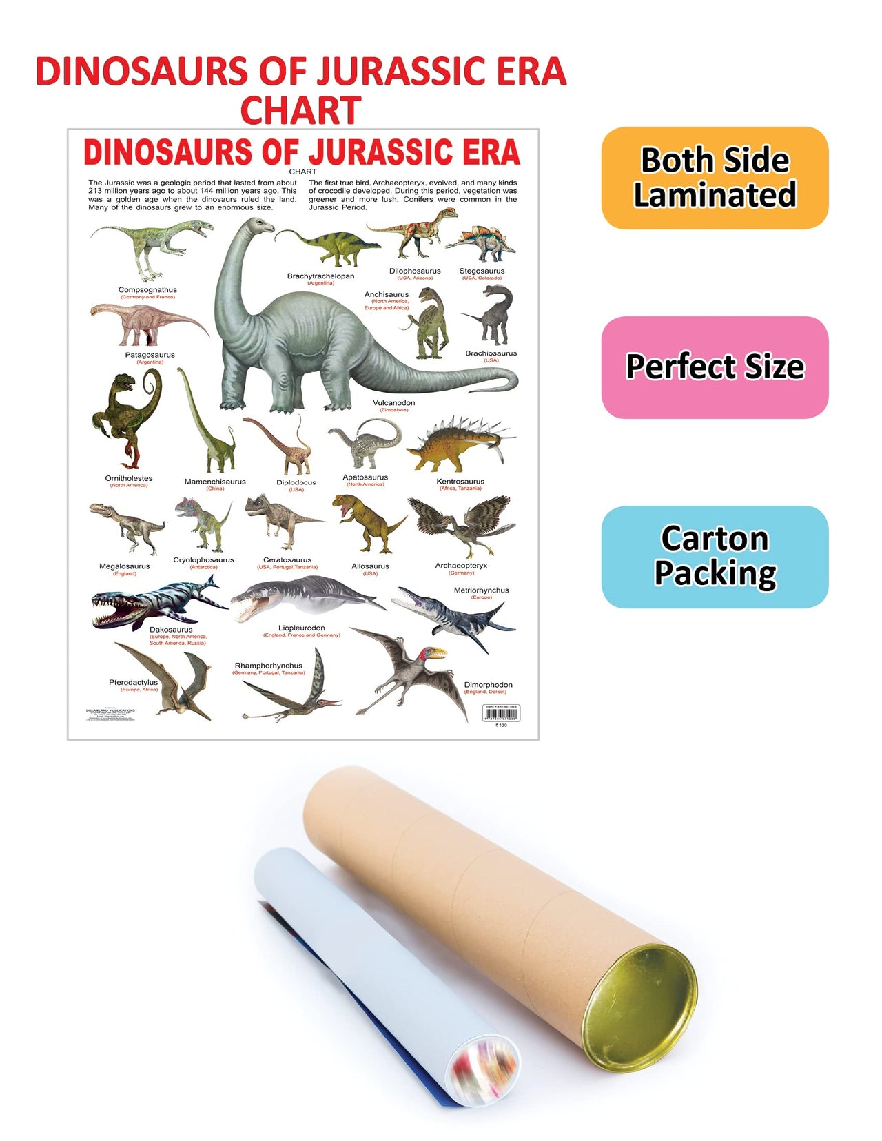 Buy Dreamland Publications Educational Chart for Kids Dinosaurs