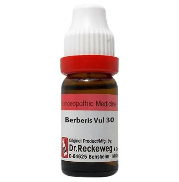 Dr. Reckeweg Berberis Vul Dilution - Distacart