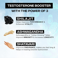Thumbnail for Sesa Ayurvedic Hair Vitality Booster Tablets For Men - Distacart