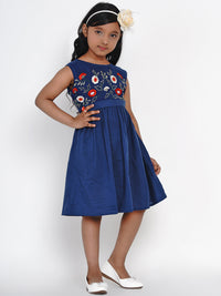 Thumbnail for Girls Blue Embroidered Fit and Flare Dress for Kids - Bhama - Distacart